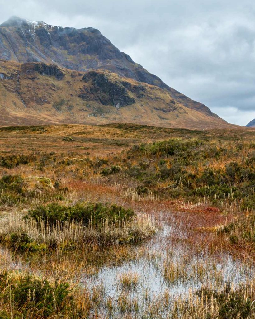 Peat-free-compost-gardeneing-sustainable-living-Good-Fronds-Blog