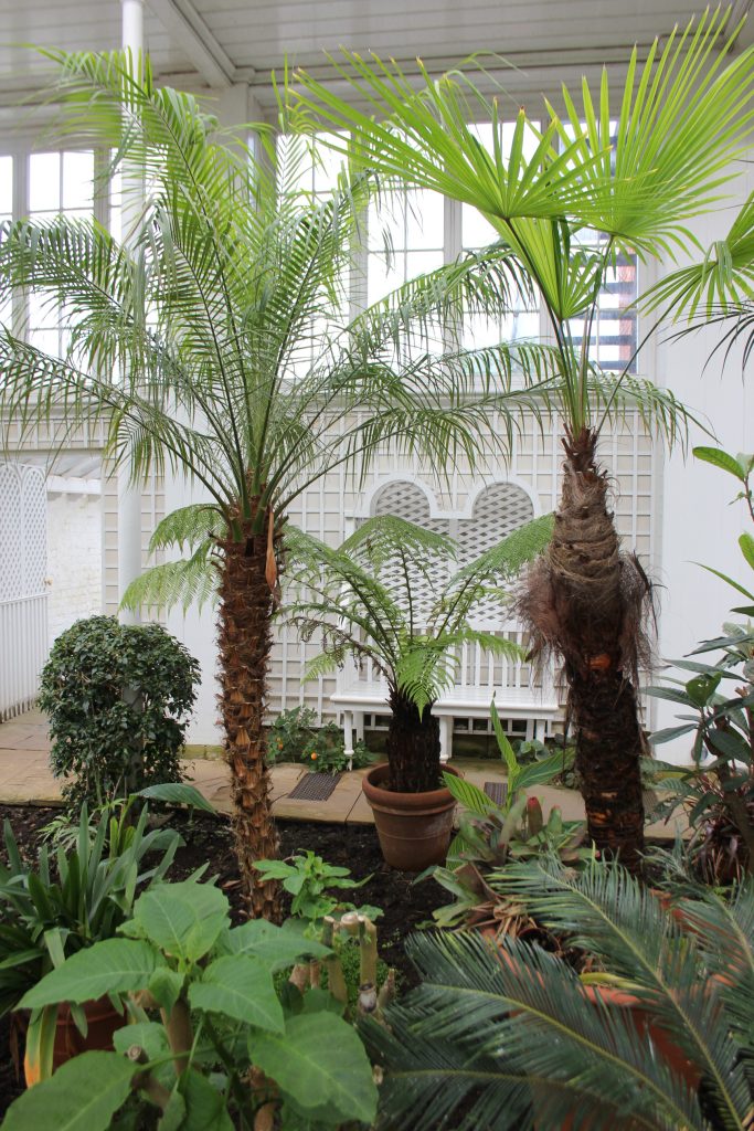 sustainable living blog