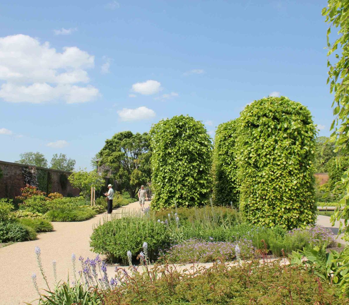 sustainable lifestyle blog - garden blog