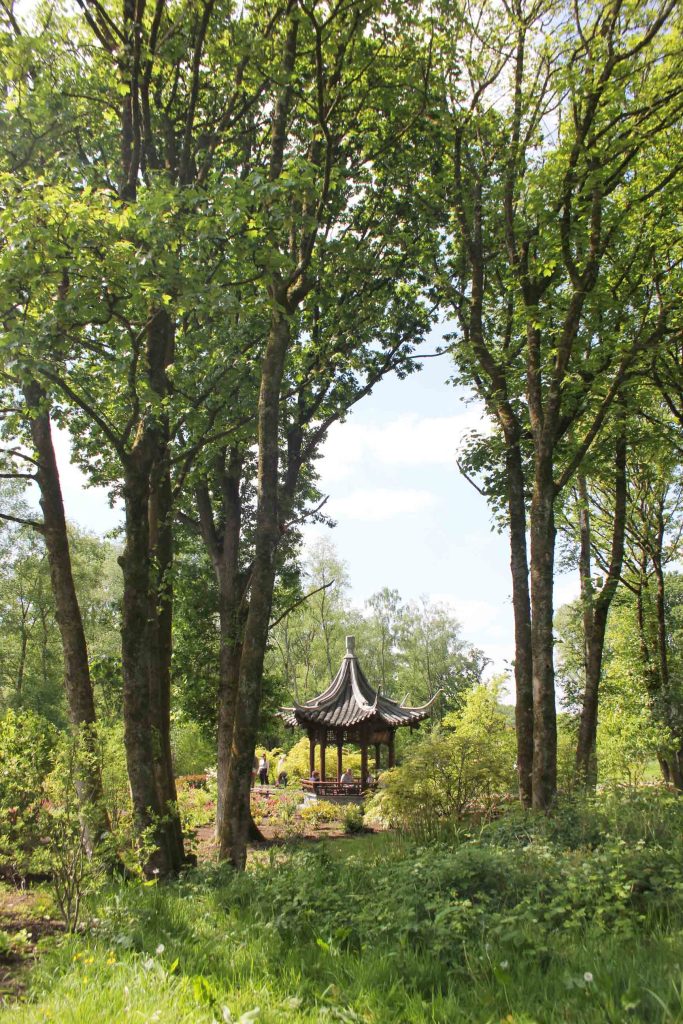 RHS-Bridgewater-Gardens-Woodland