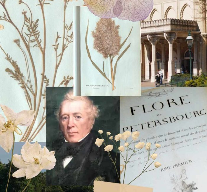 200-Year-Old Plant Collection by Royal Physician Sir Alexander Crichton on Display at Brighton Museum
