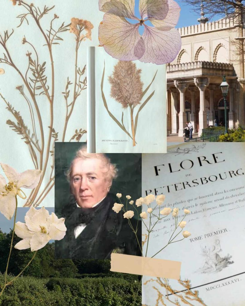 200-Year-Old Plant Collection by Royal Physician Sir Alexander Crichton on Display at Brighton Museum